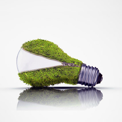 Innovation Innovation