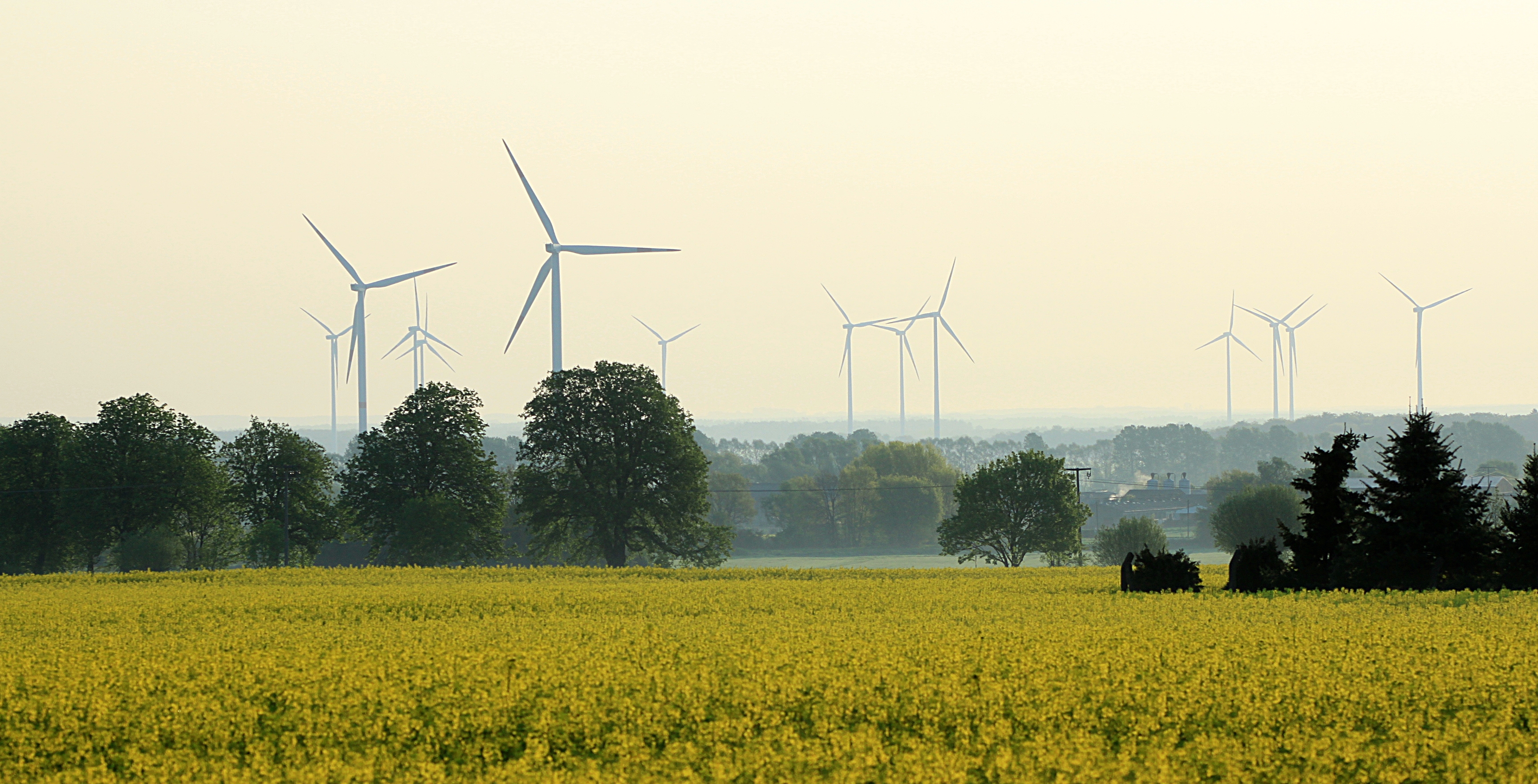 Windpark Suckow Windpark Suckow